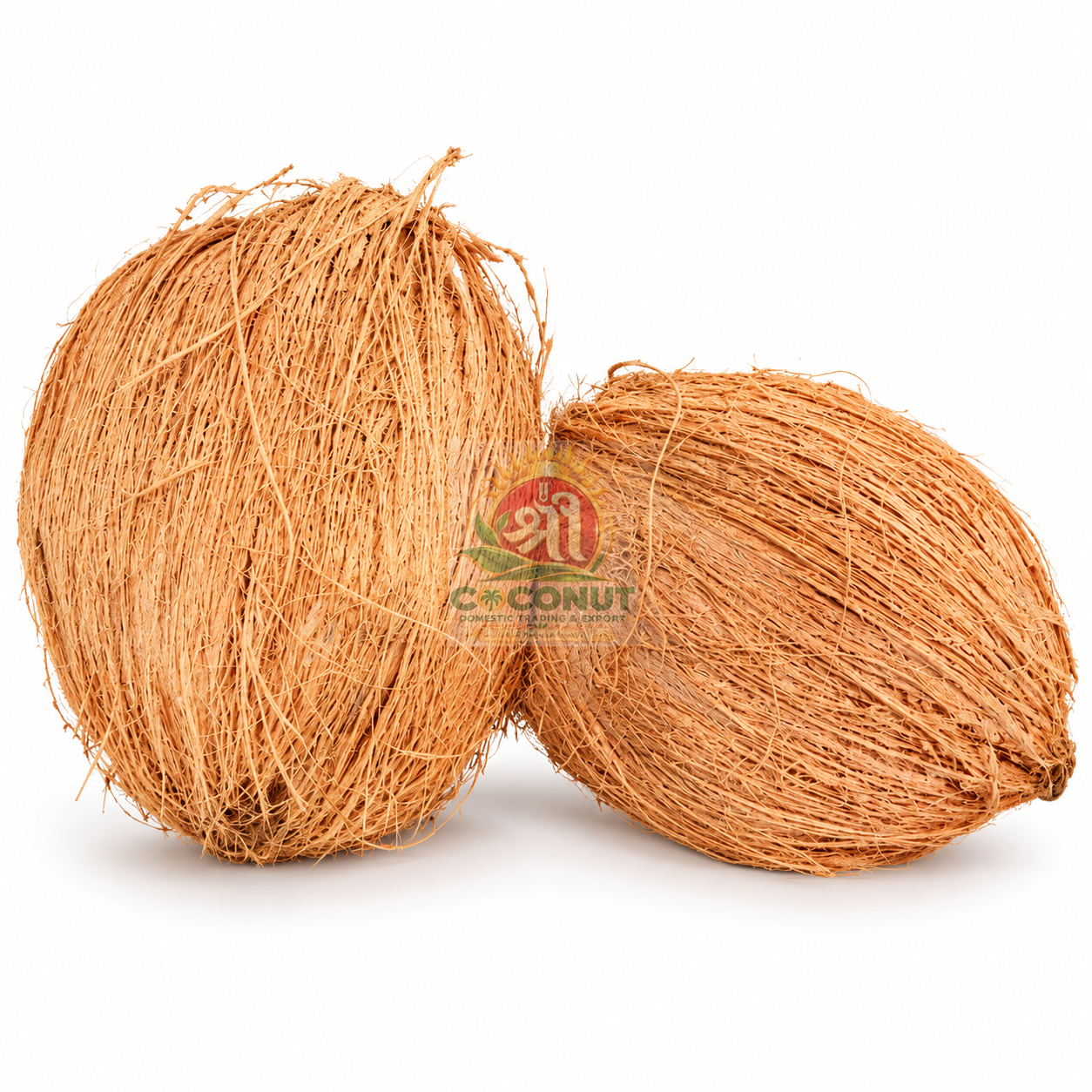 Whole Coconut (Un-Husked / With Outer Coir)